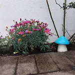 Semesterbostad El Madrono De La Encantada