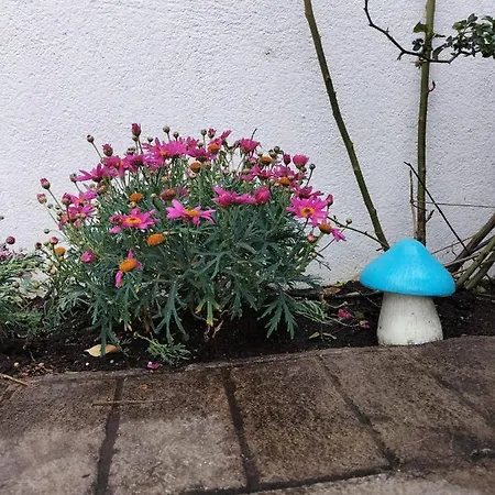 Ferienhaus El Madrono De La Encantada