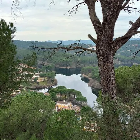 El Madrono De La Encantada *