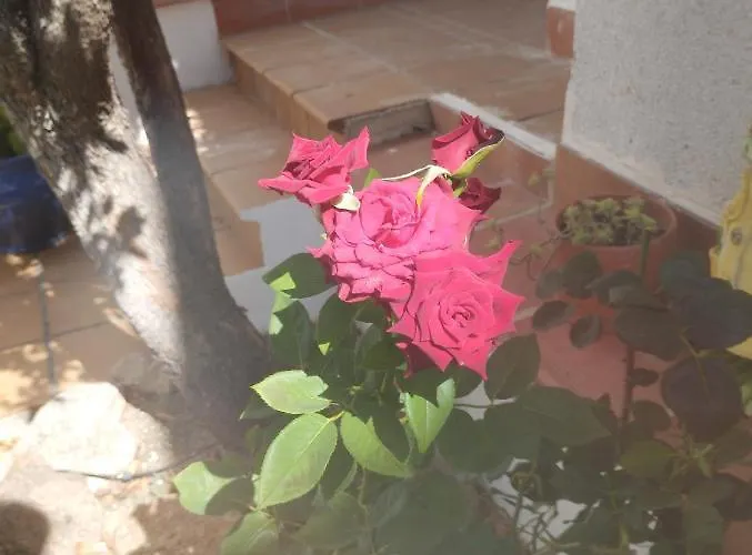 בית נופש El Madrono De La Encantada *