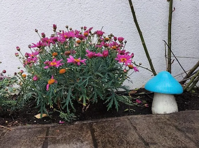 Σπίτι διακοπών El Madrono De La Encantada