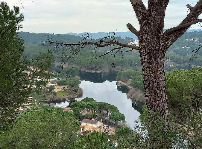 El Madrono De La Encantada *