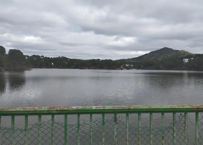 El Madrono De La Encantada